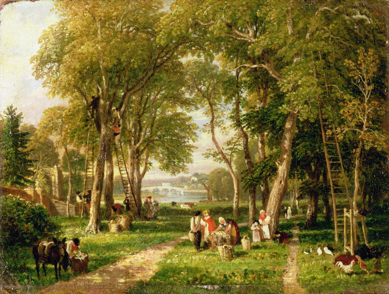 Richmond Köprüsü Yakınındaki Petersham