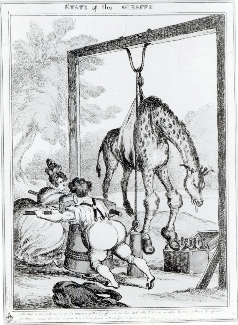 Zürafanın Durumu, 1829 by William Heath