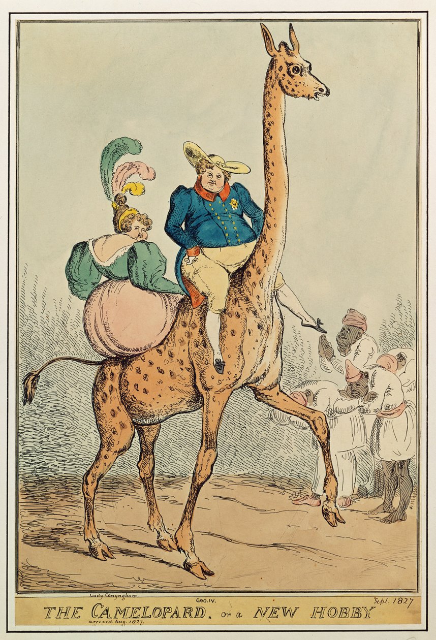 Camelopard veya Yeni Bir Hobi, 1827 (renkli gravür) by William Heath