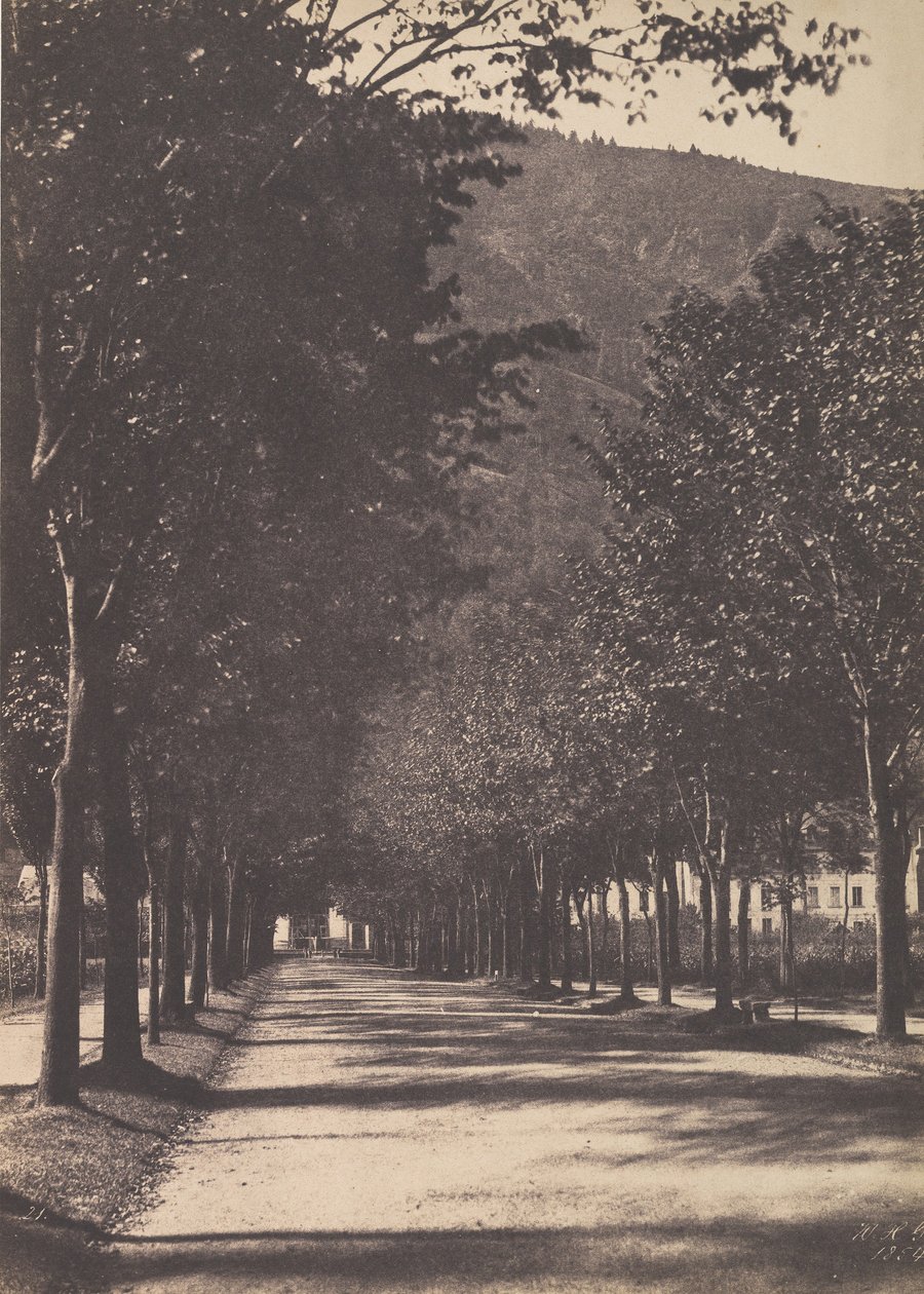 Ağaçlar Sokağı, Pau, 1854. by William Henri Gebhard