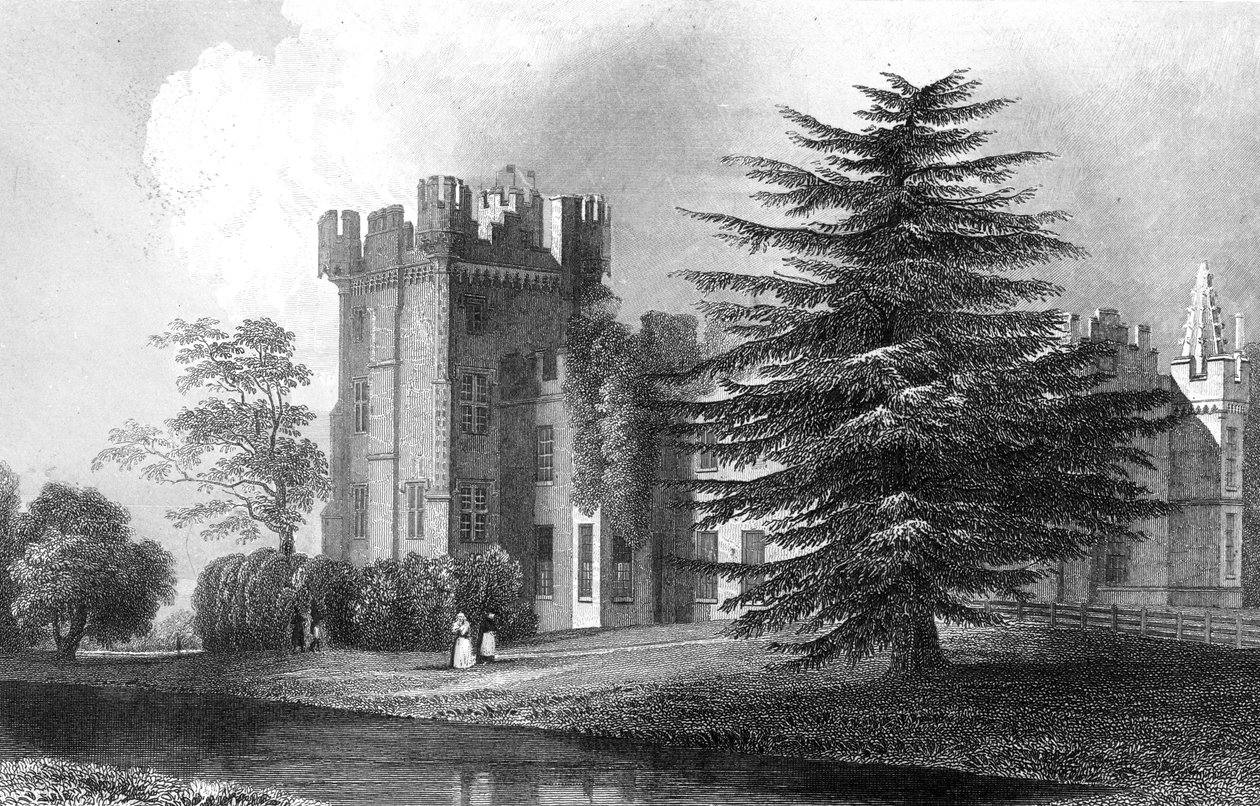 Henry Wallis tarafından oyulmuş, Witham, Essex yakınlarındaki Faulkbourne Hall, 1832 by William Henry Bartlett