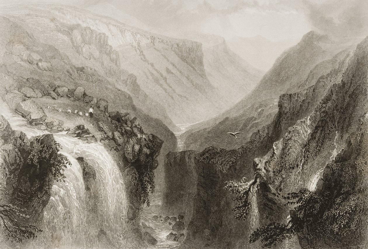 Glenmalure Başkanı, County Wicklow, George Virtue, 1860