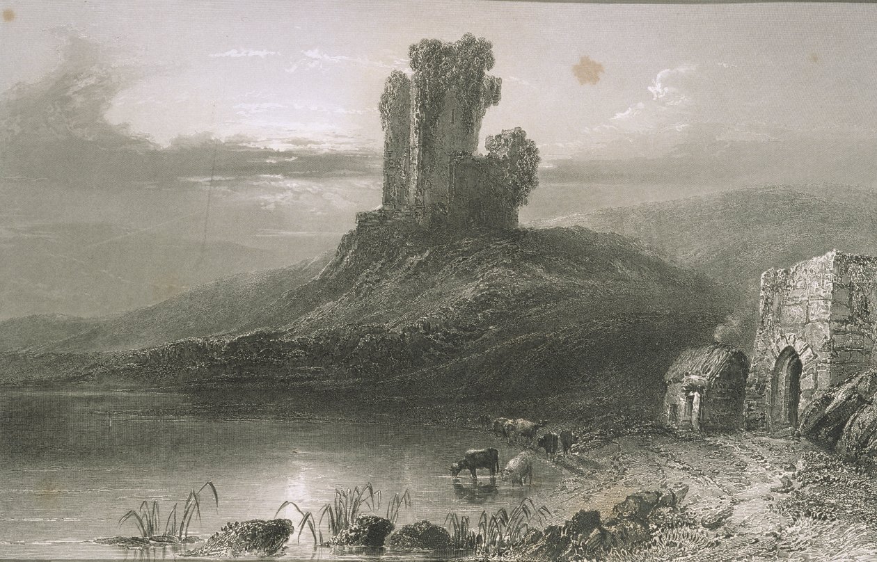 Kilcolman Kalesi, Cork County, İrlanda, George Virtue, 1860