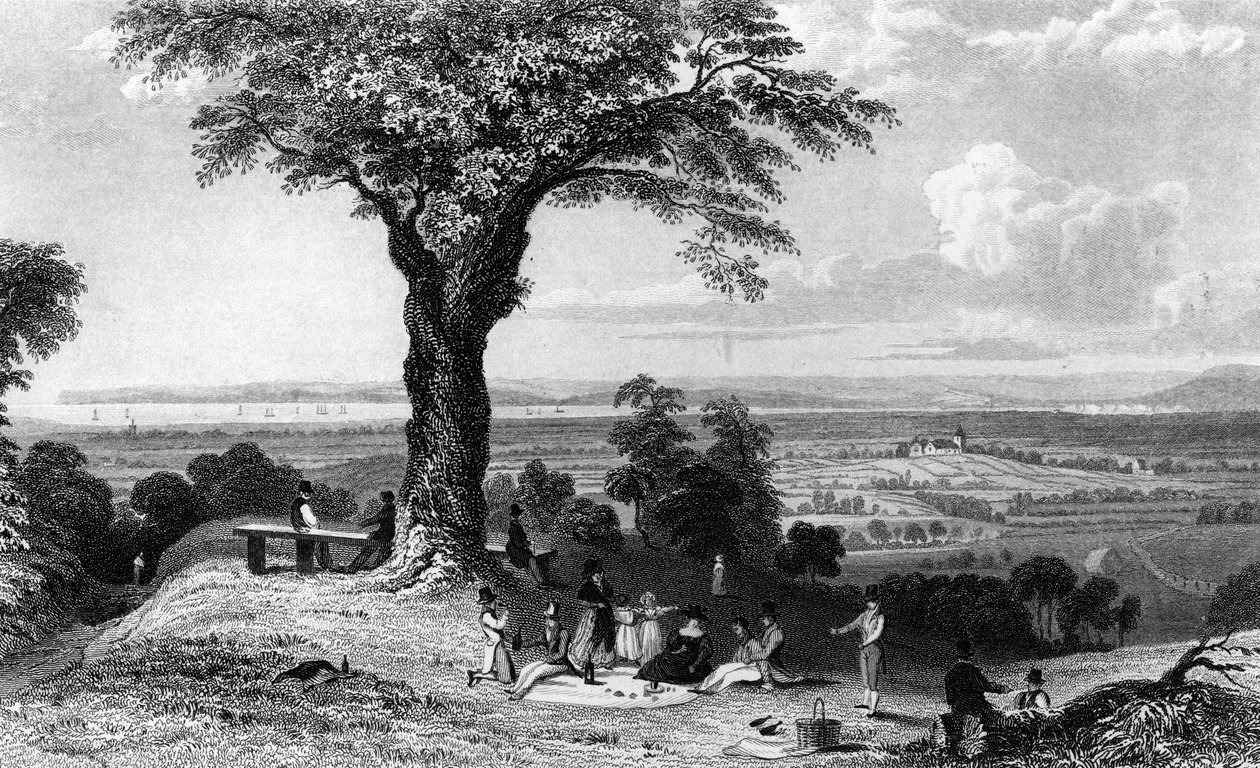 Horndon, Essex yakınlarındaki Laindon Tepesi