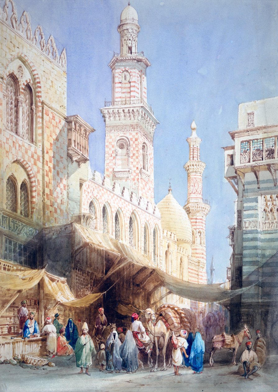 Şeriat El Gohargiyeh, Kahire, 19. yüzyıl by William Henry Bartlett