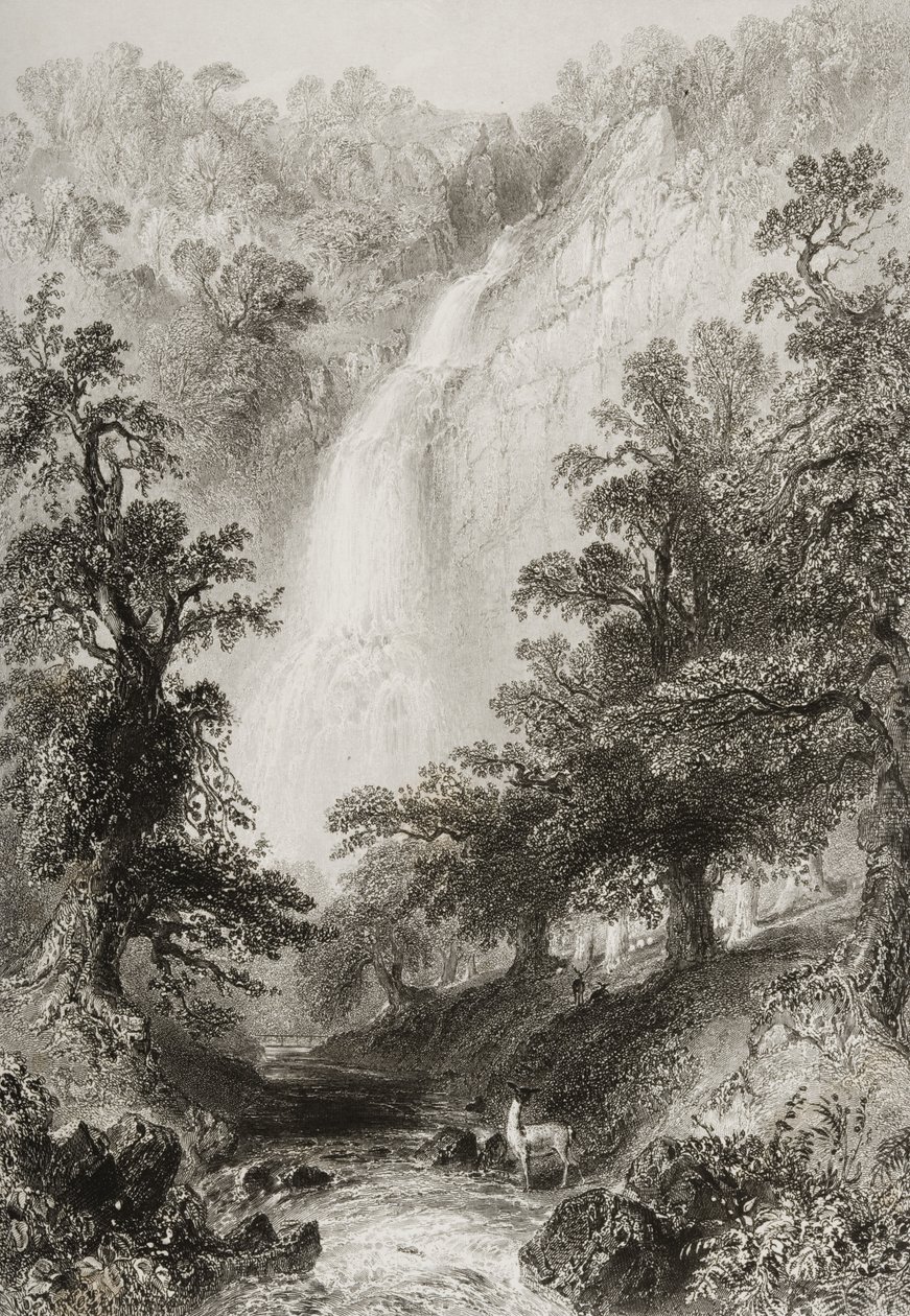 Şelale, Powerscourt, County Wicklow, İrlanda, George Virtue, 1860