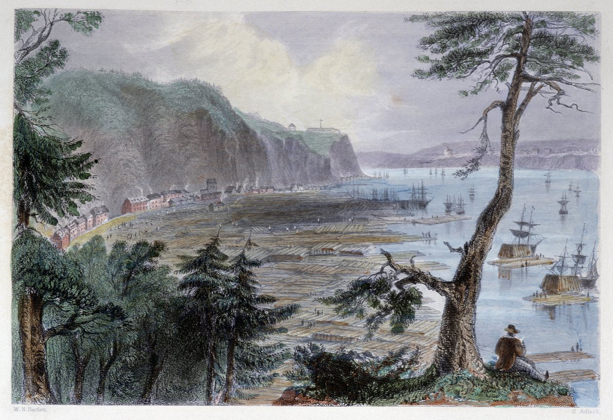 Timber Déposition près de Québec - Bartlett W. H. by William Henry Bartlett