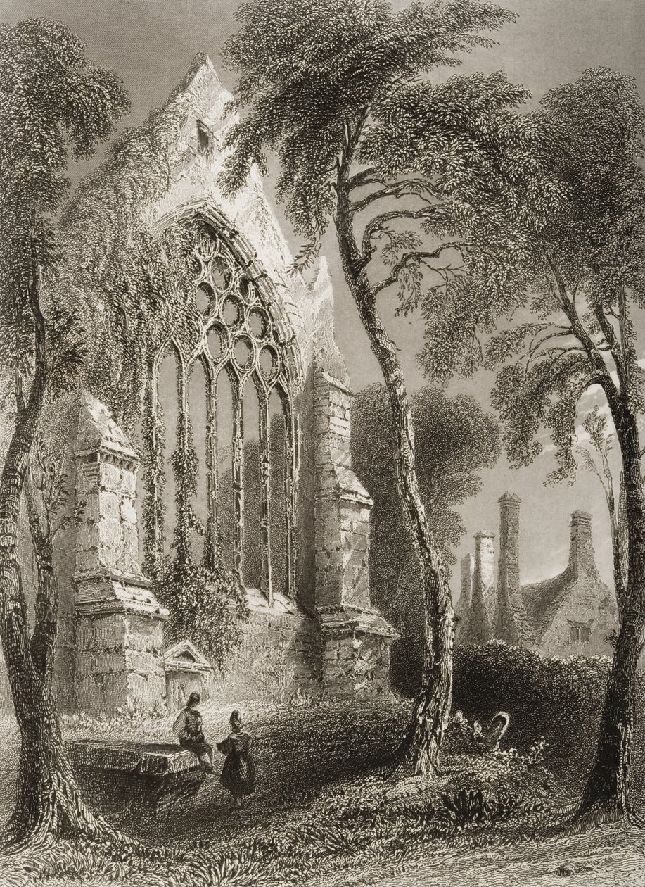 Youghal Manastırı, County Cork, İrlanda, George Virtue, 1860