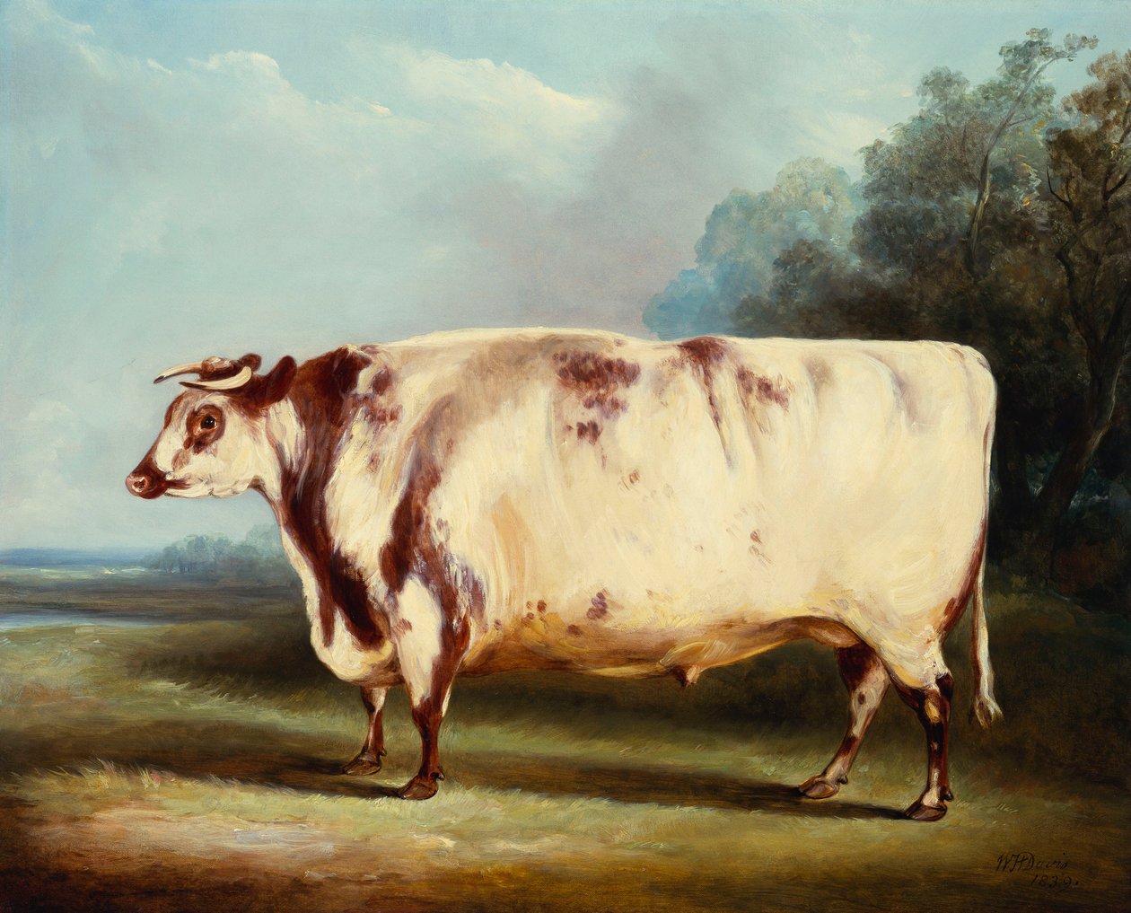 Ödüllü Boğa, 1839 by William Henry Davis
