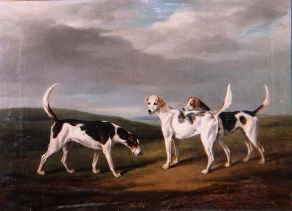 Manzaradaki Tilki Köpekleri by William Henry Davis