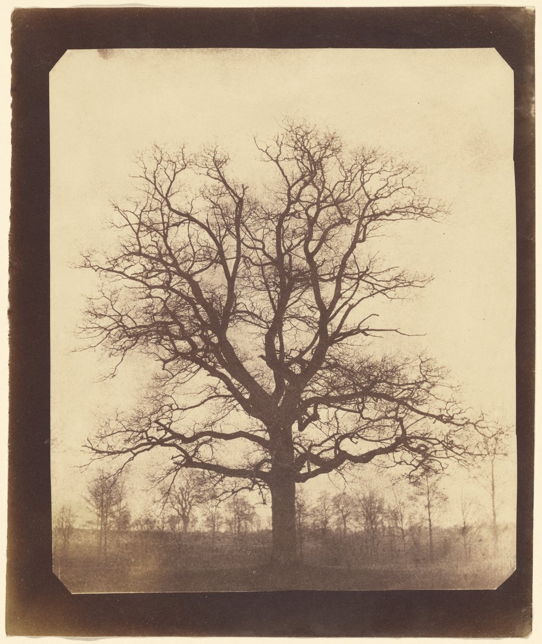  by William Henry Fox Talbot