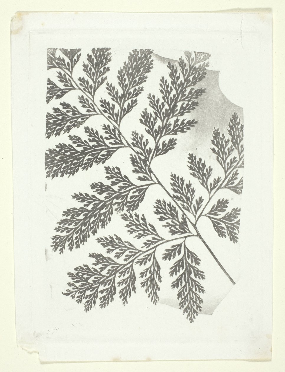  by William Henry Fox Talbot