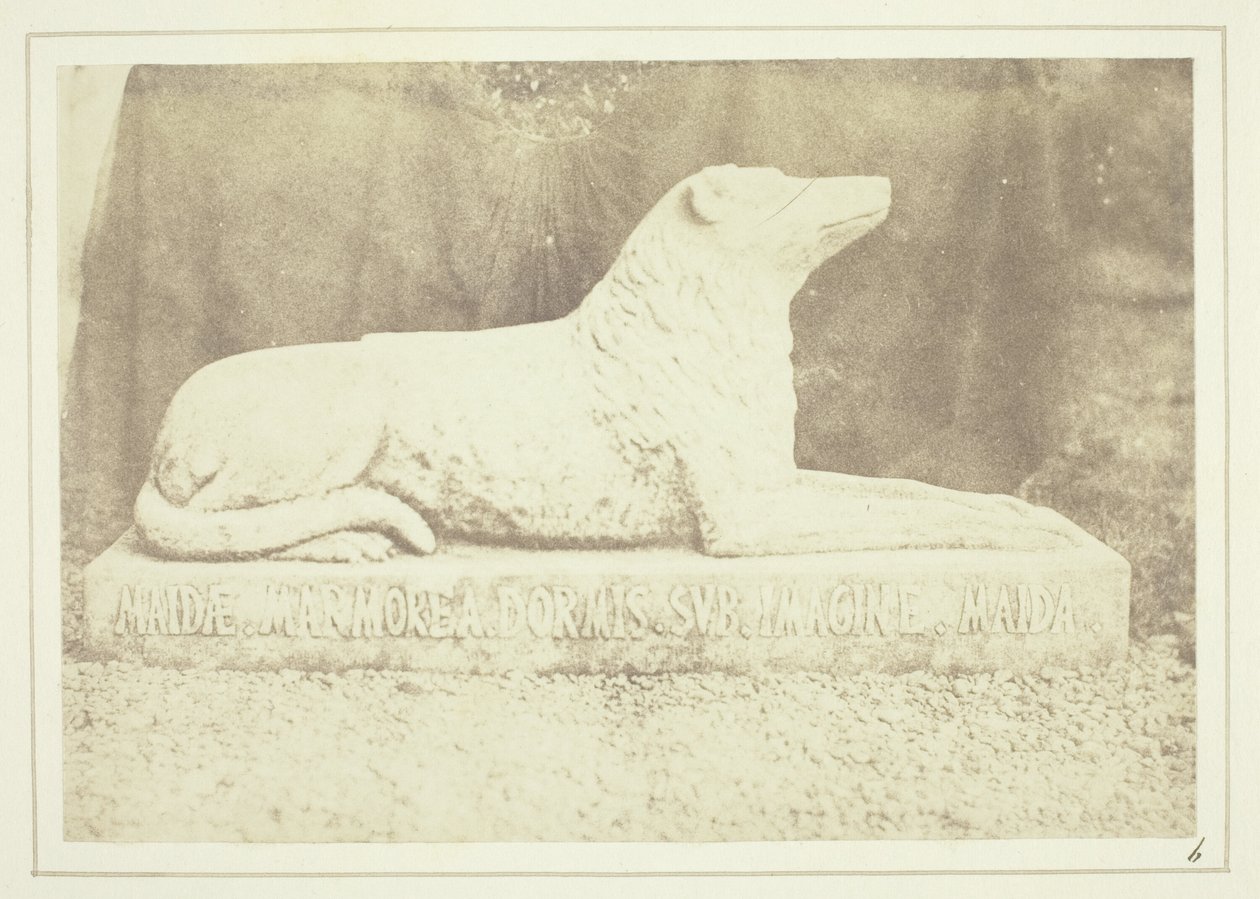  by William Henry Fox Talbot