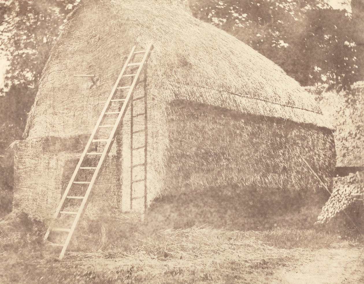 samanlık by William Henry Fox Talbot