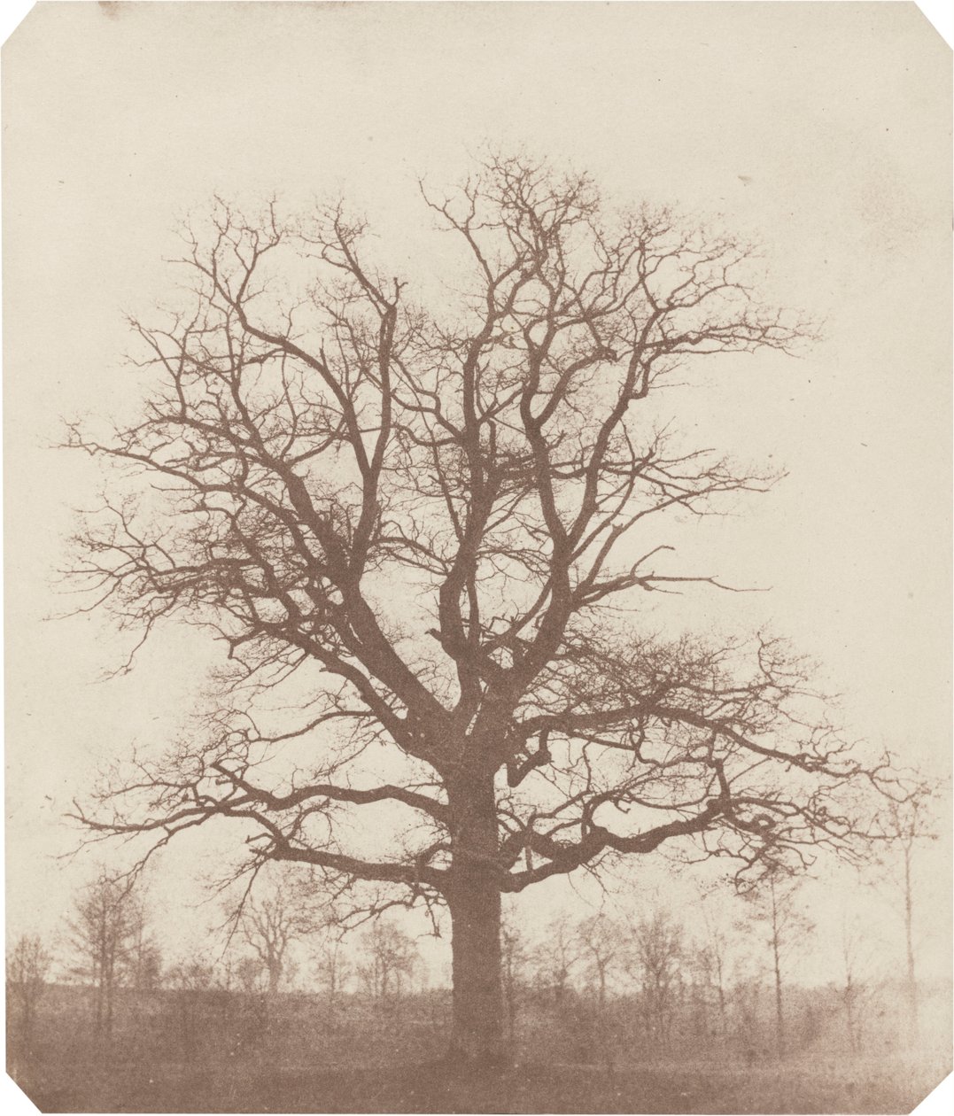  by William Henry Fox Talbot