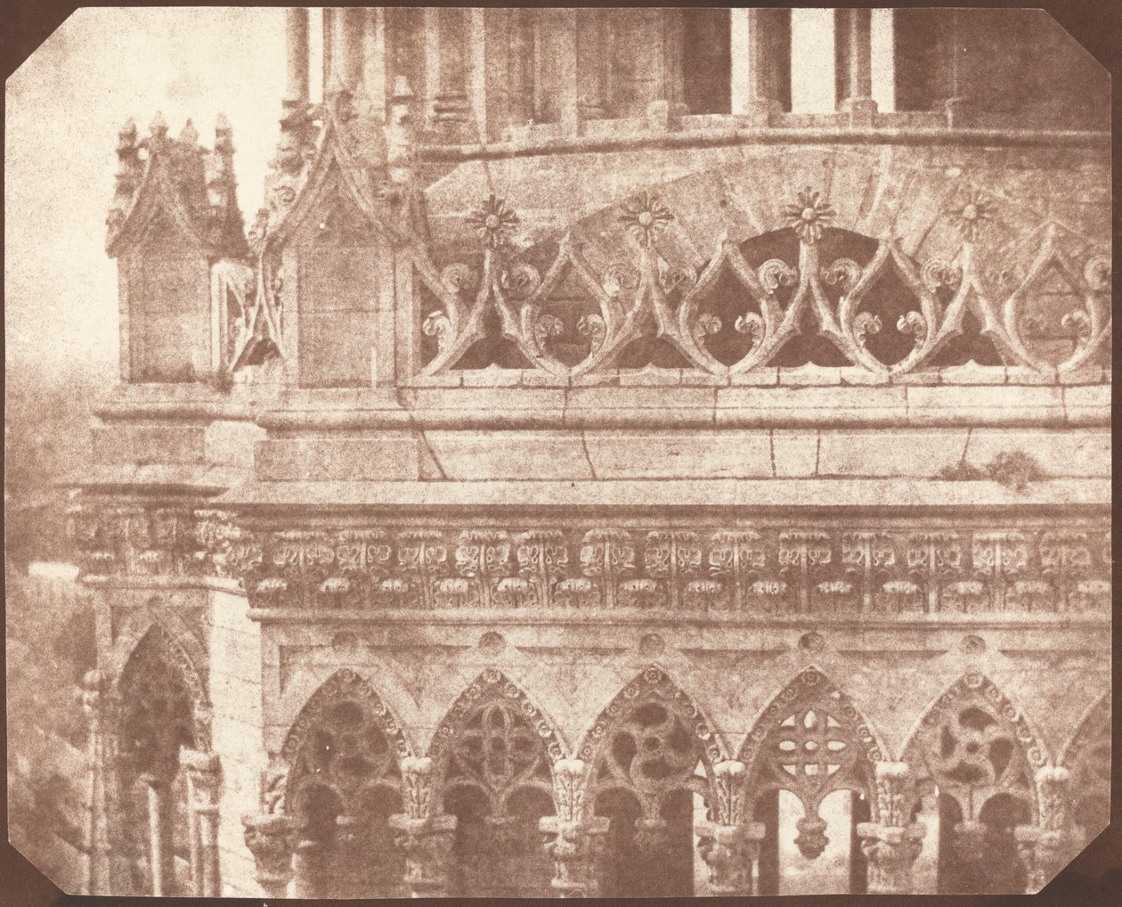 Orleans Katedrali by William Henry Fox Talbot