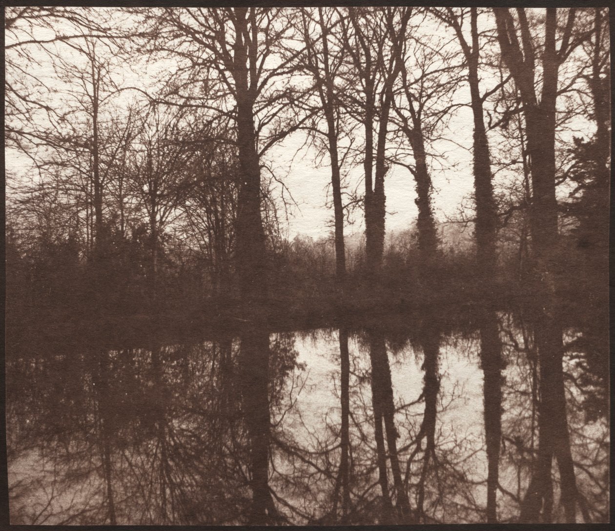 Bir Göle Yansıyan Kış Ağaçları by William Henry Fox Talbot
