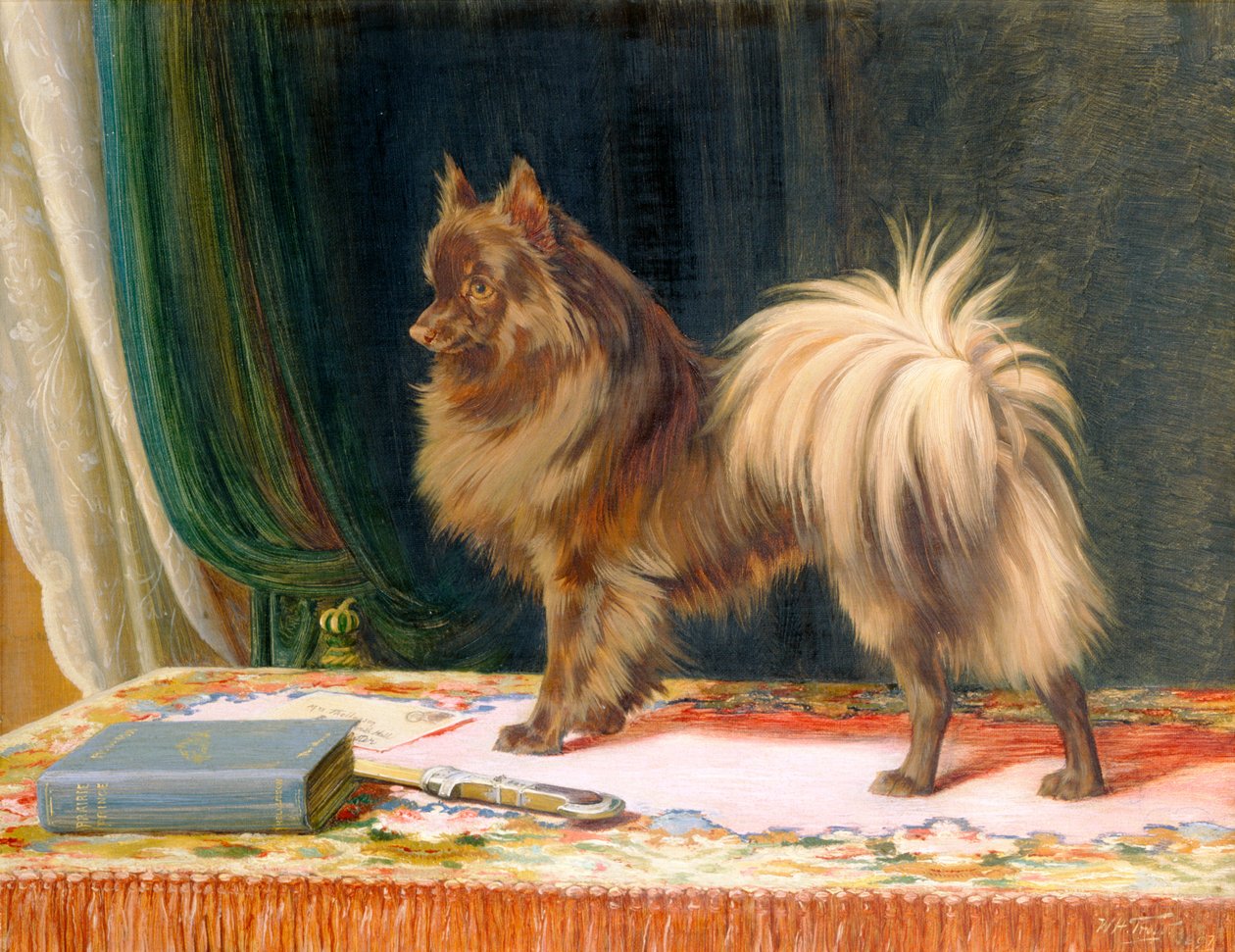 Prairie Prince'in Portresi by William Henry Hamilton Trood