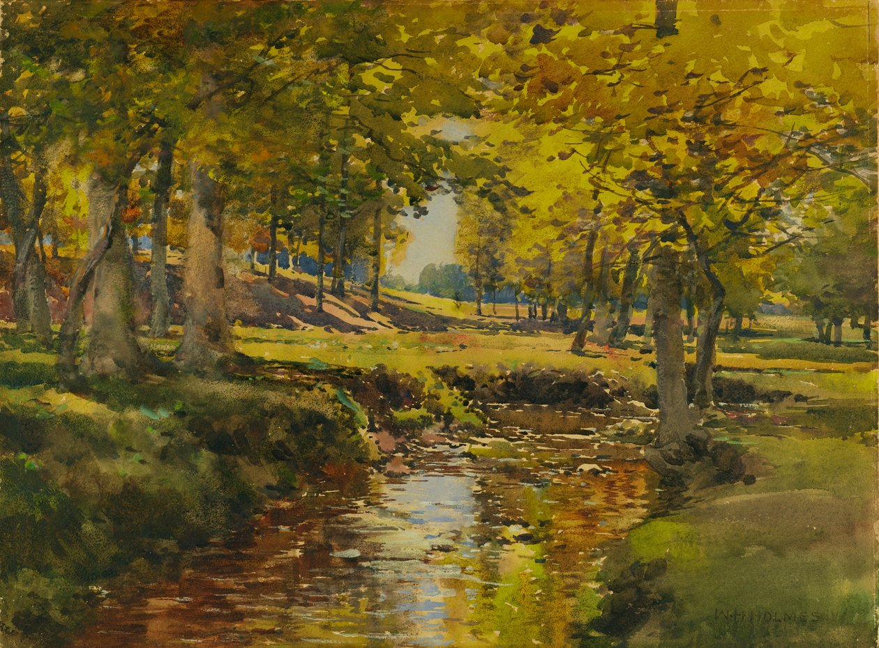 Meadow Edge