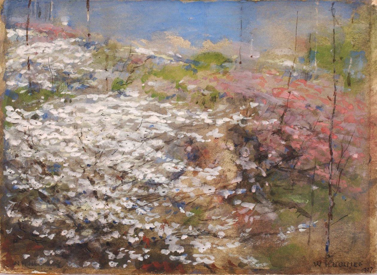  by William Henry Holmes