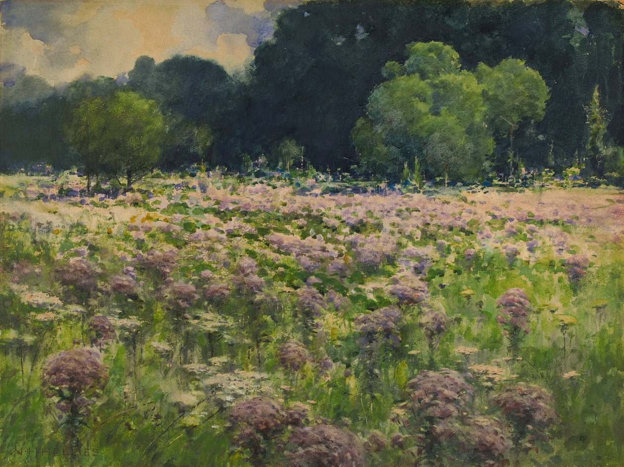  by William Henry Holmes