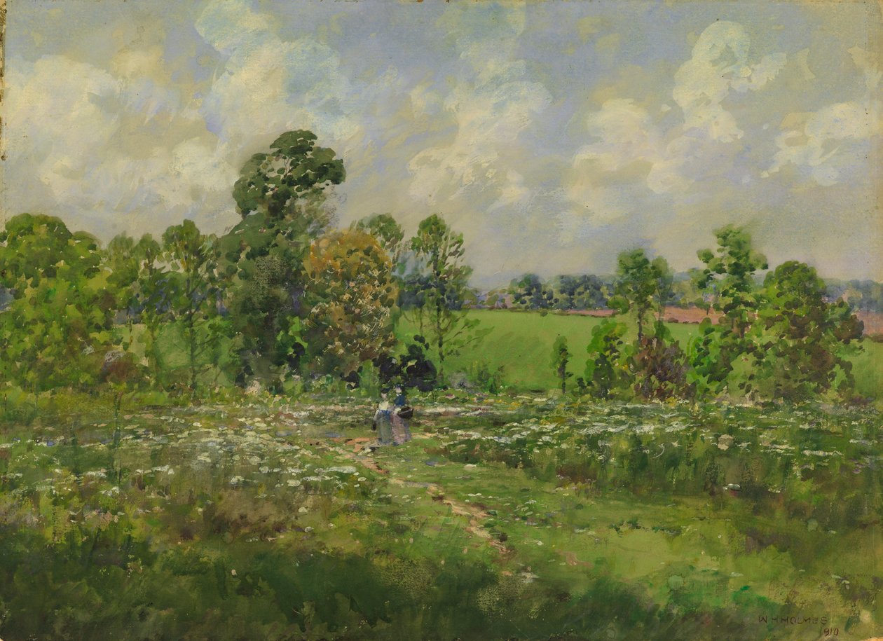 Çiçekli Çayır, 1910. by William Henry Holmes