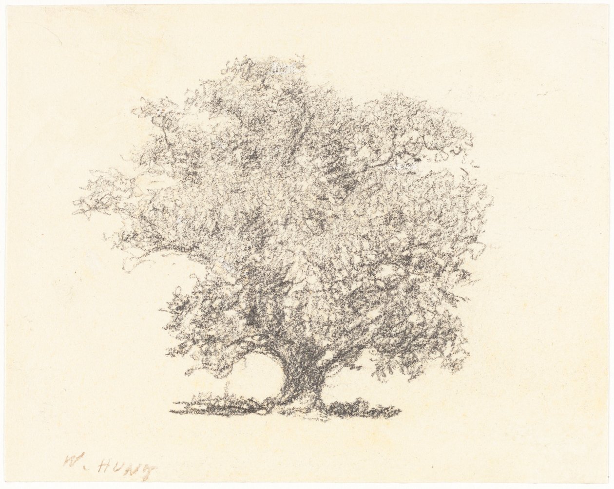 Tam Yapraklı Bir Ağaç by William Henry Hunt