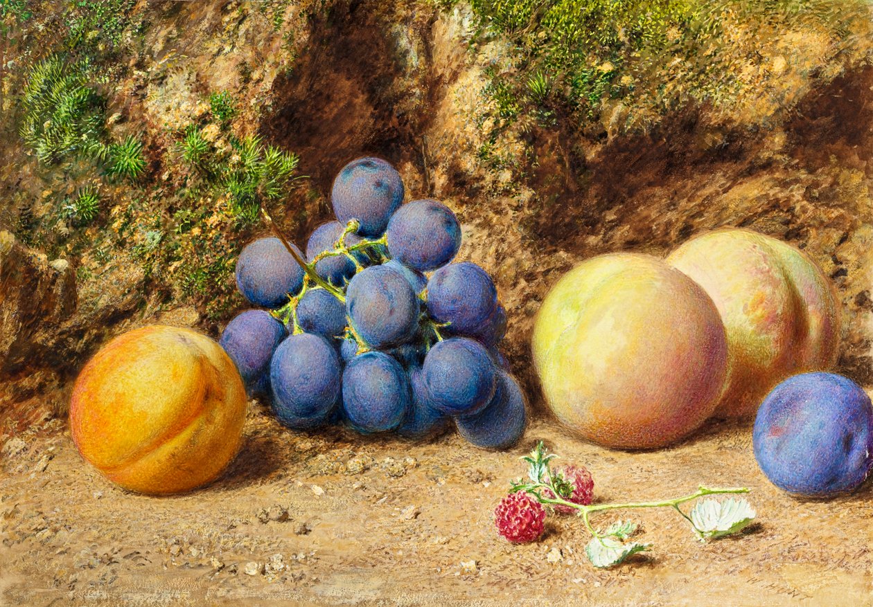 Siyah Üzüm, Şeftali, Kayısı ve Ahududu, c.1860 by William Henry Hunt