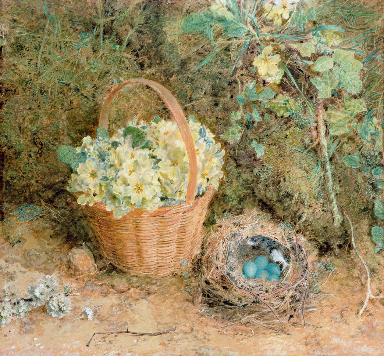 Çuha çiçeği ile ispinoz yuvası (kağıt üzerinde wc ve guaj) by William Henry Hunt