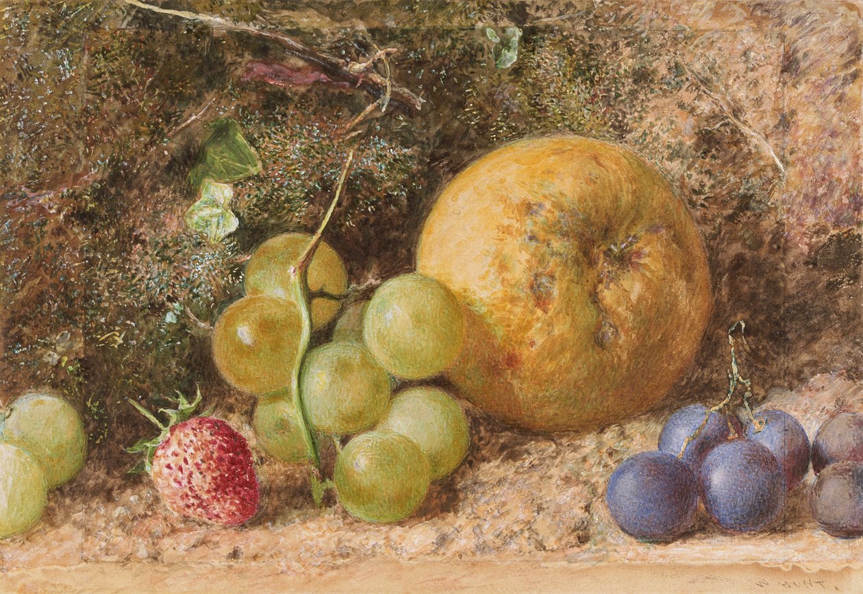 'Meyve parçası', c1855 by William Henry Hunt