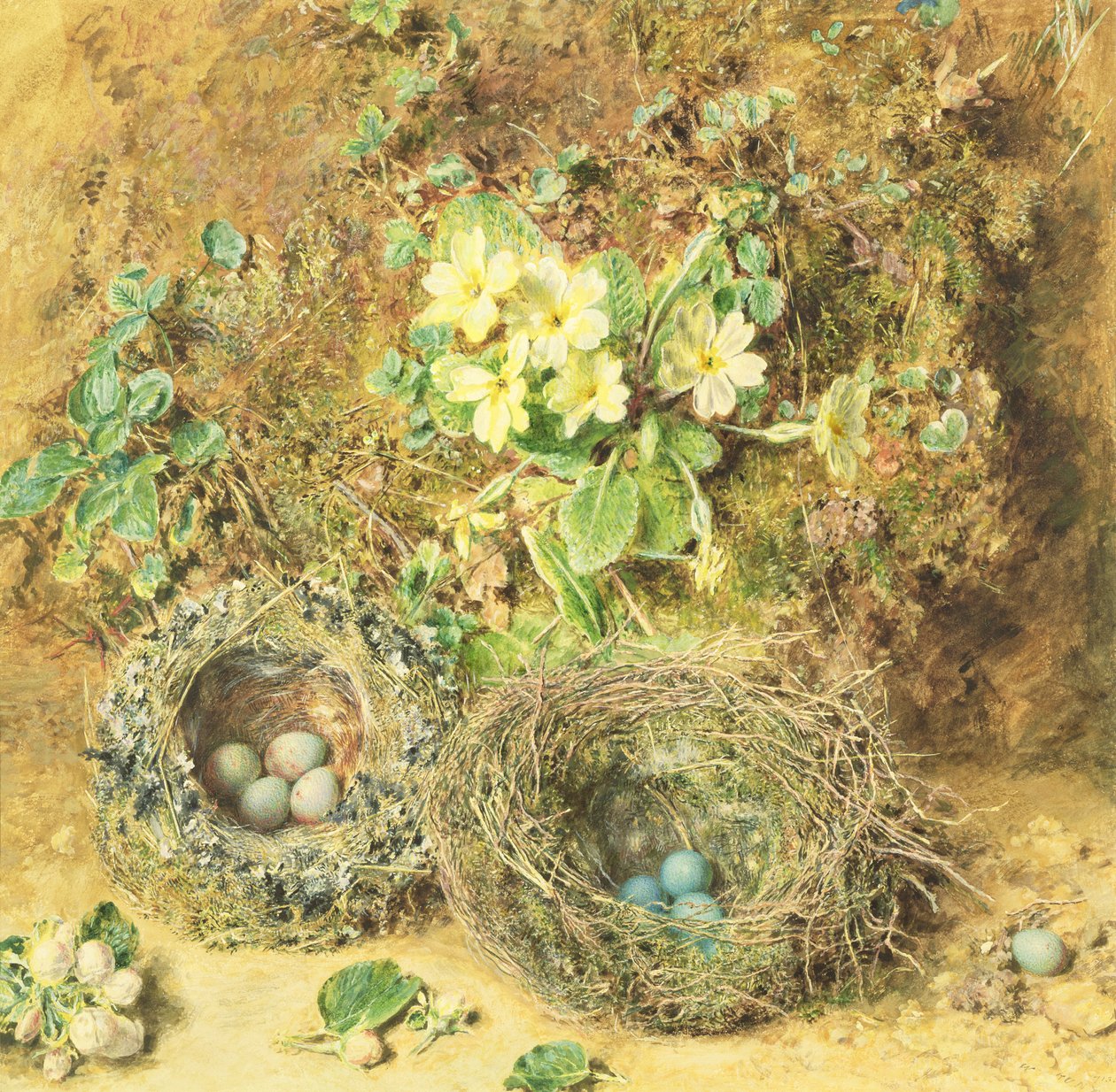 Primroses ve Kuş Yuvaları by William Henry Hunt