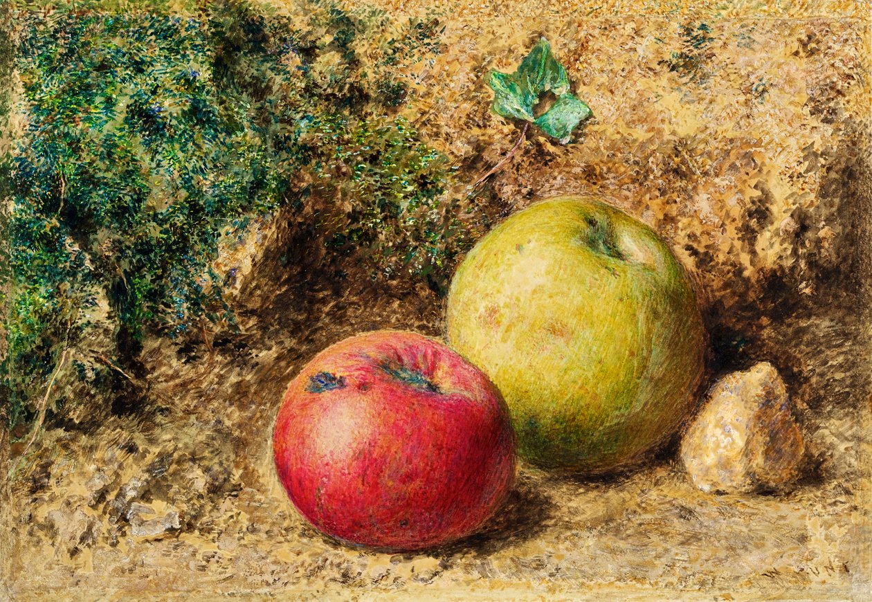 Kontrast - Kırmızı ve Yeşil Elmalar, 1860 dolayları by William Henry Hunt