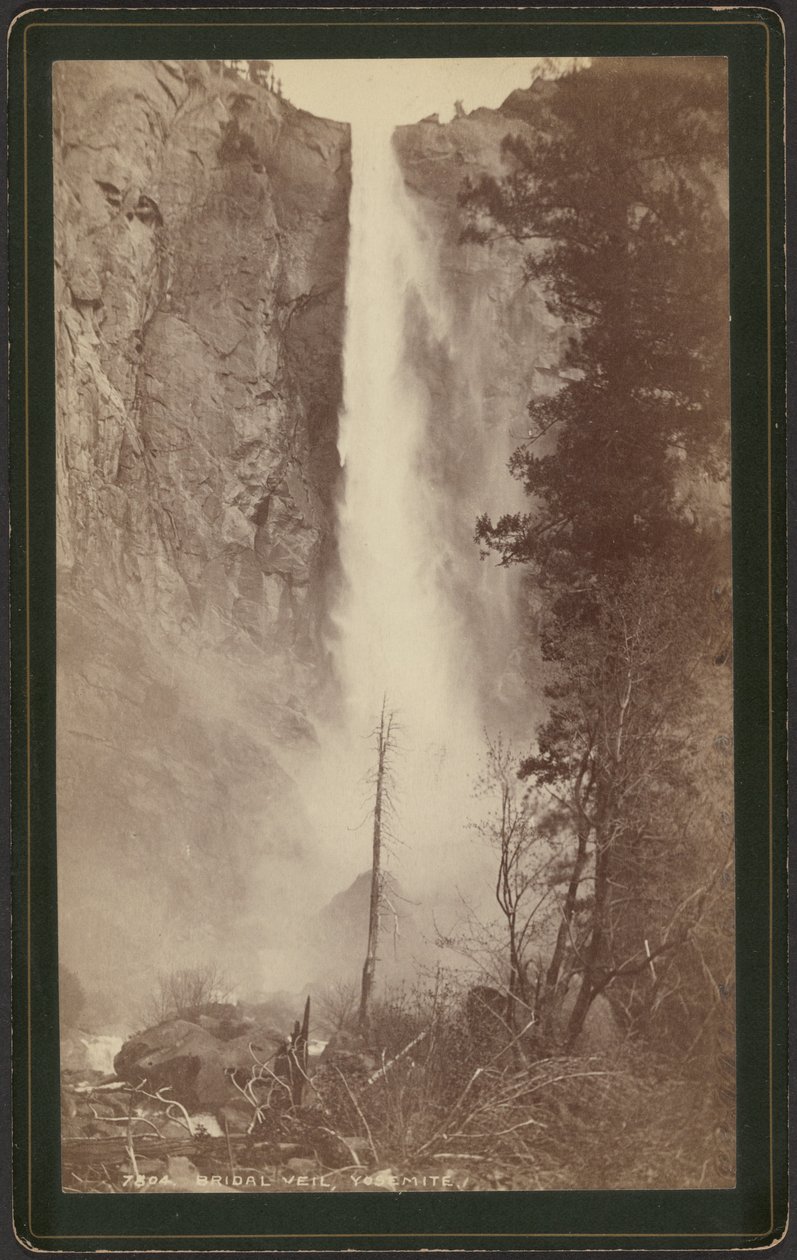  by William Henry Jackson