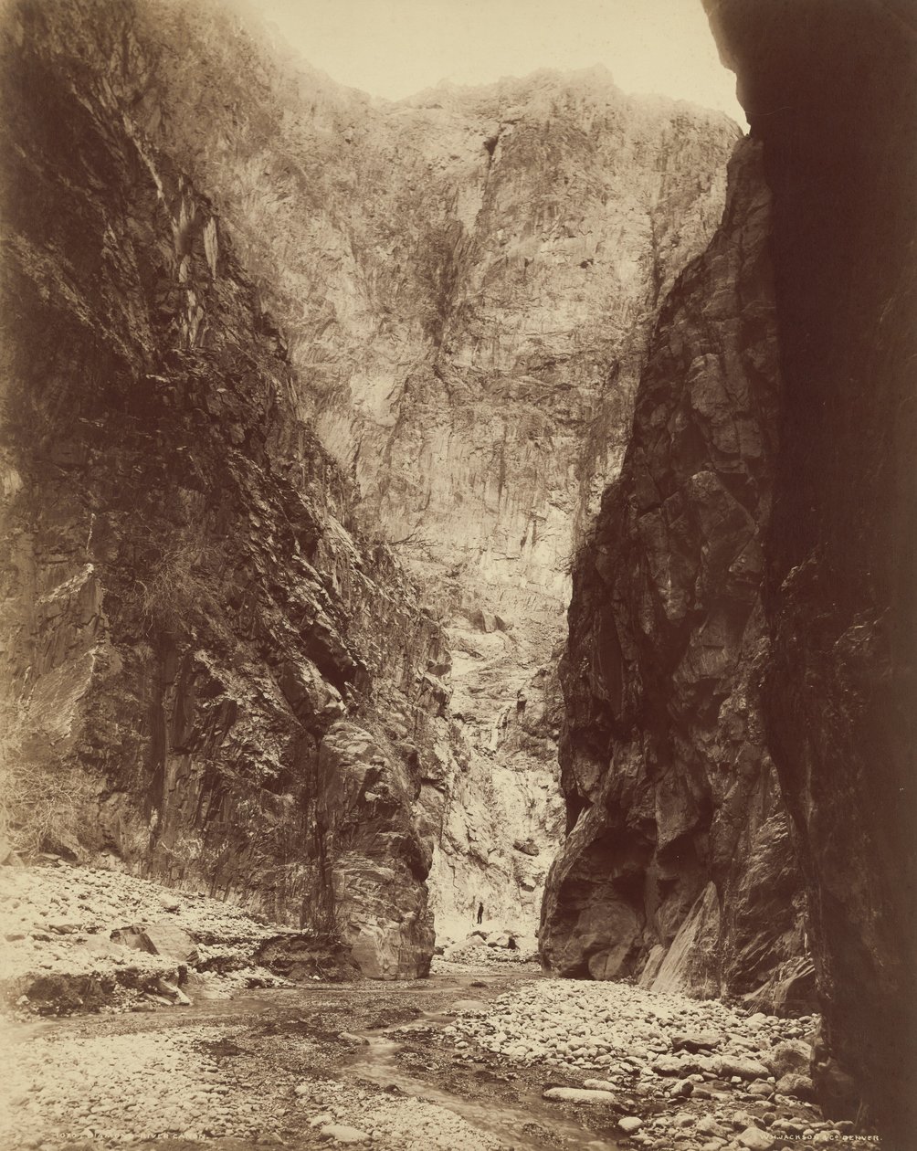  by William Henry Jackson
