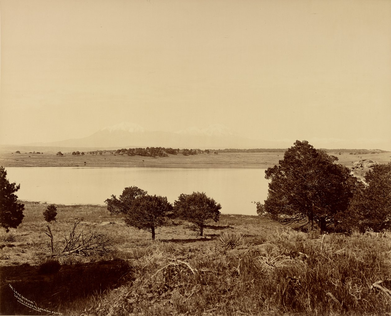 by William Henry Jackson