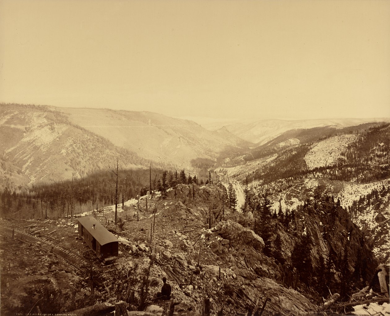  by William Henry Jackson