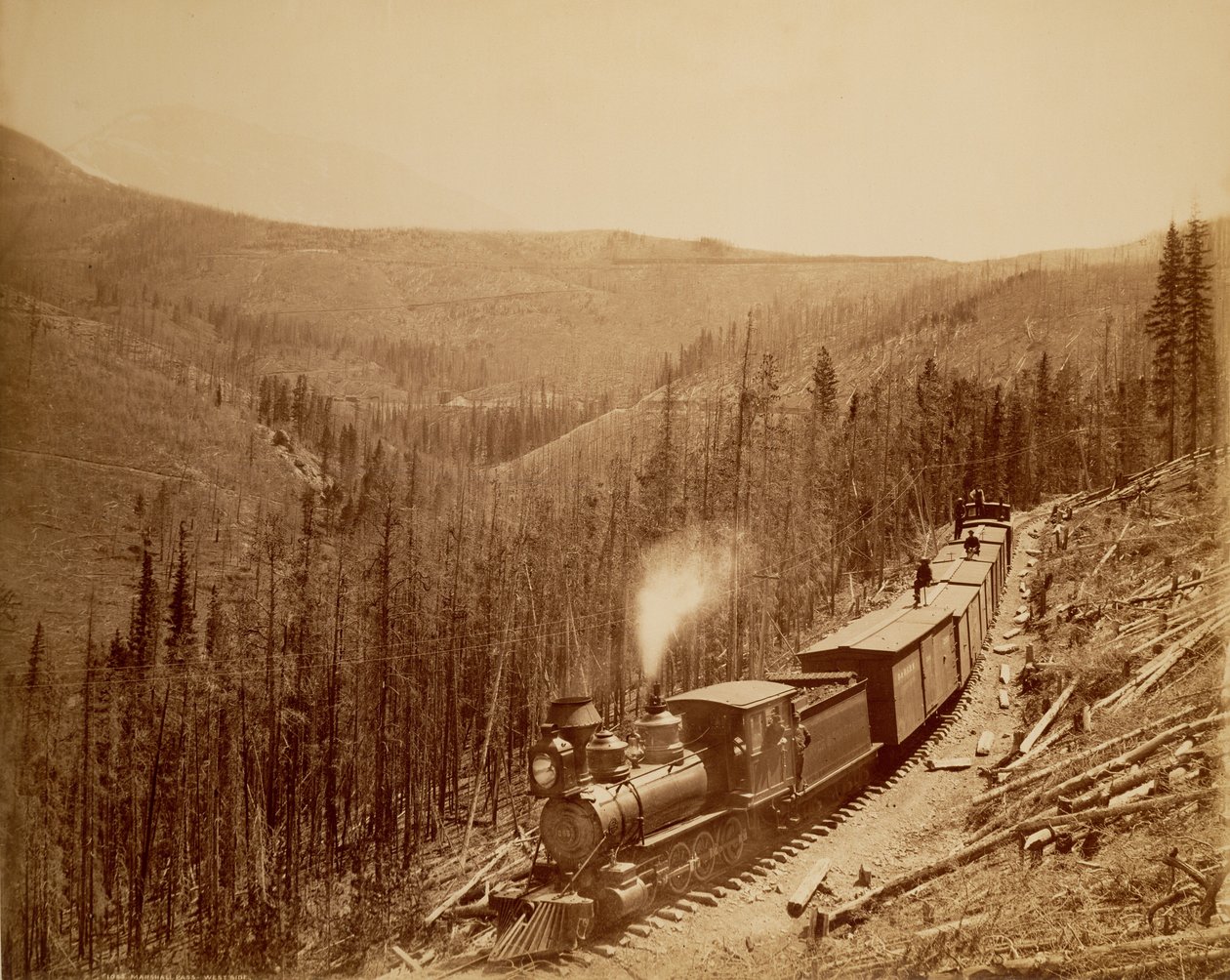  by William Henry Jackson
