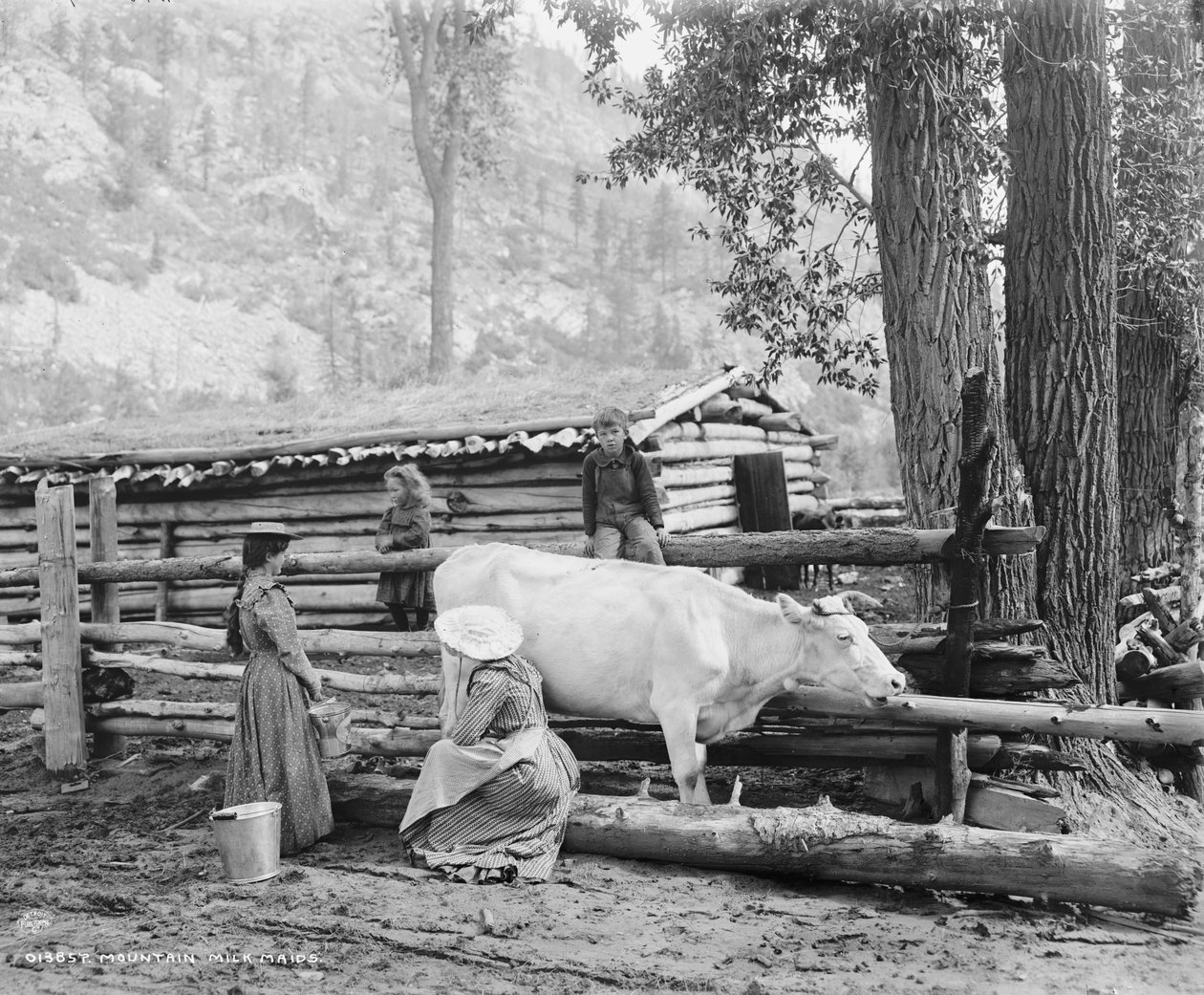Colorado