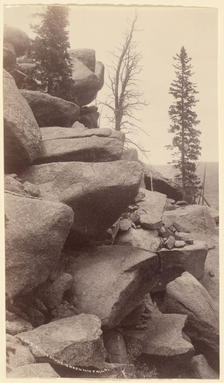  by William Henry Jackson