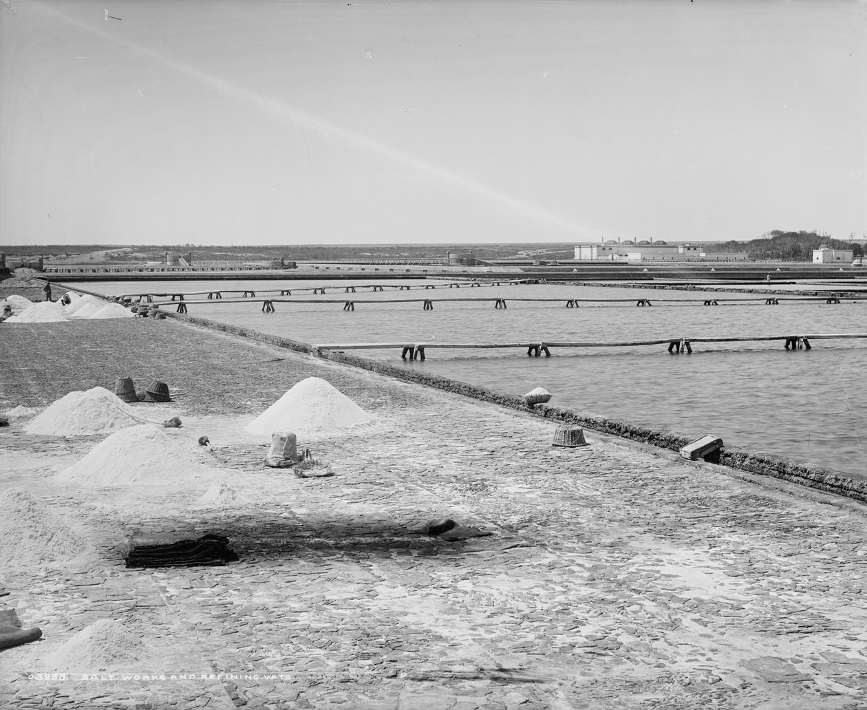 Tuz fabrikaları ve arıtma tekneleri, Meksika, c.1880-97 by William Henry Jackson