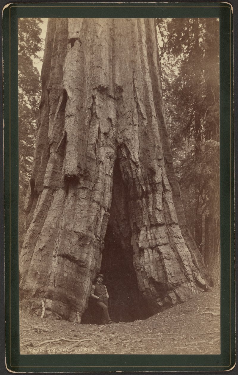  by William Henry Jackson