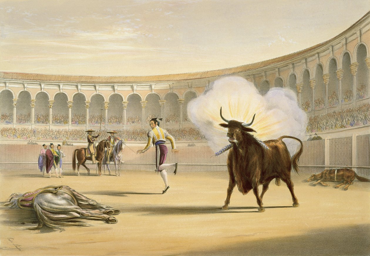Ateş Bayrakları, 1865 by William Henry Lake Price