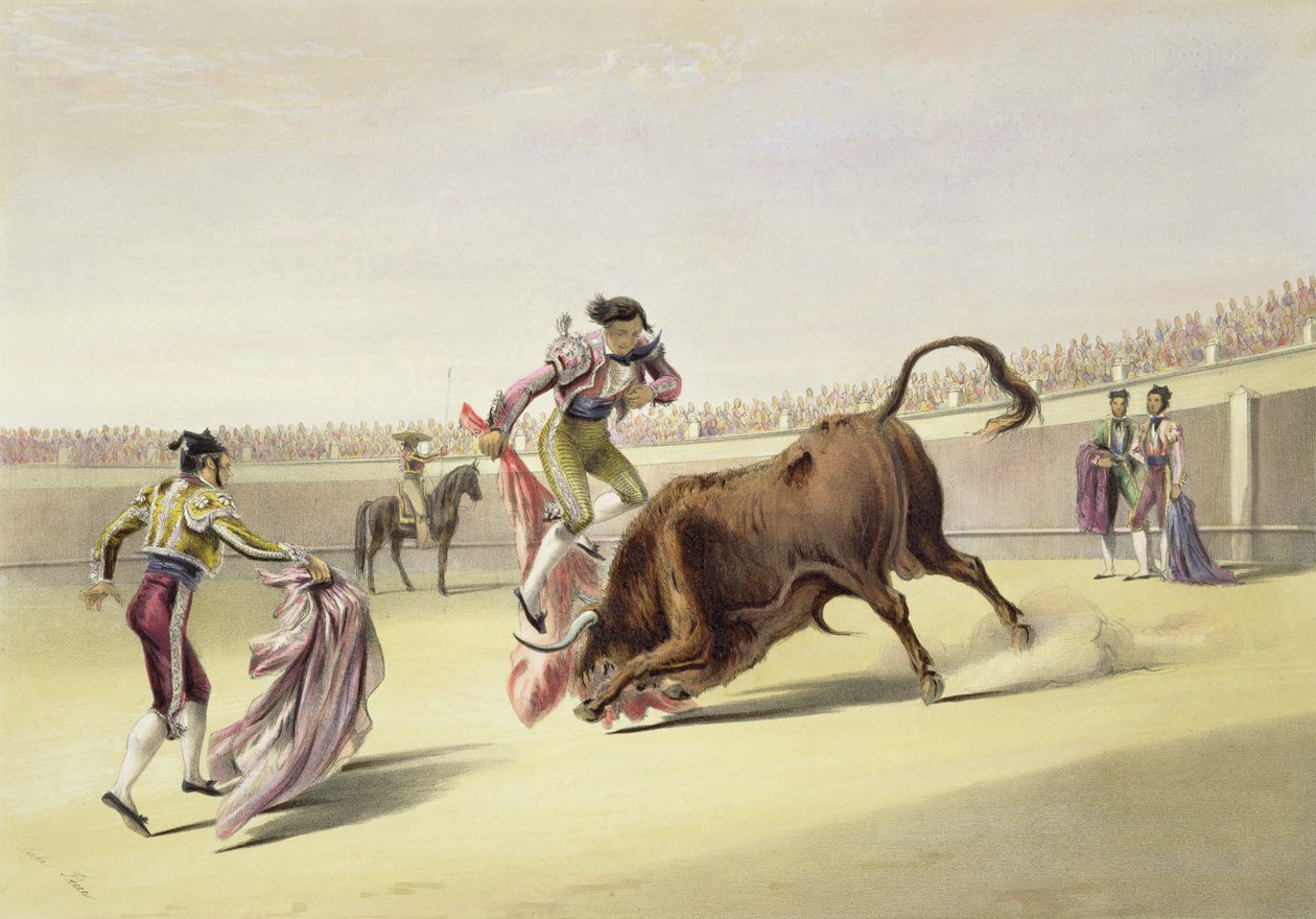 Boynuzlardan Sonra Sıçrayış veya Atlama, 1865 by William Henry Lake Price