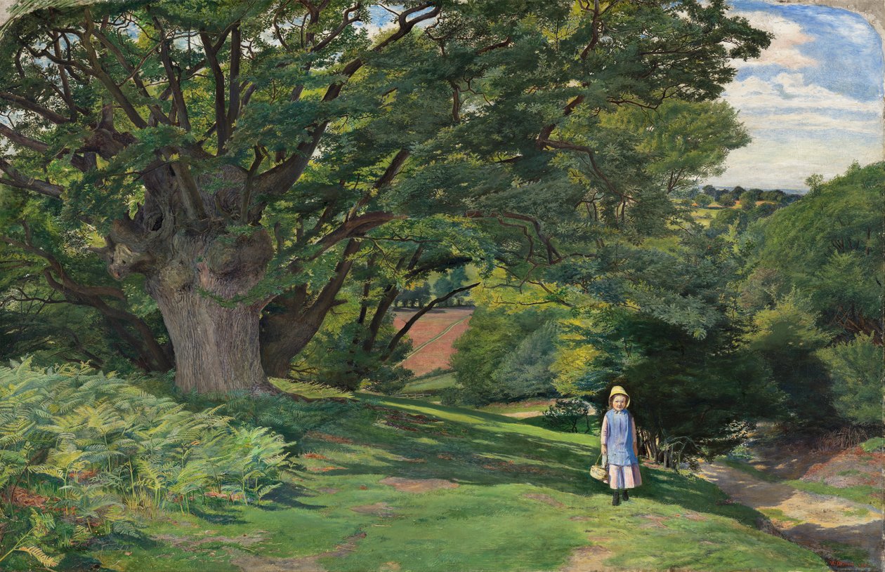 Hayes Ortak by William Henry Millais