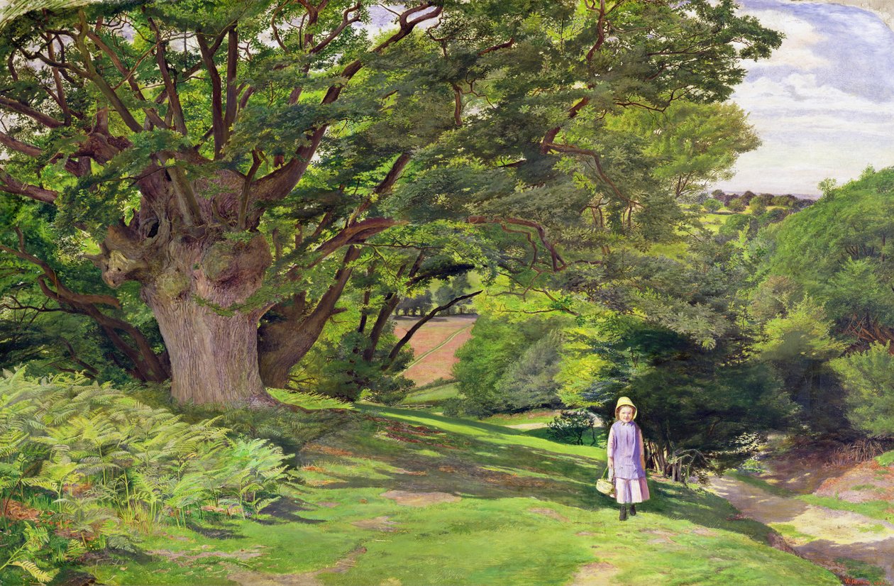 Hayes Ortak, 1852-53 by William Henry Millais