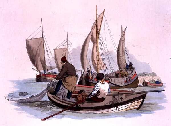 William Miller tarafından yayınlanan 