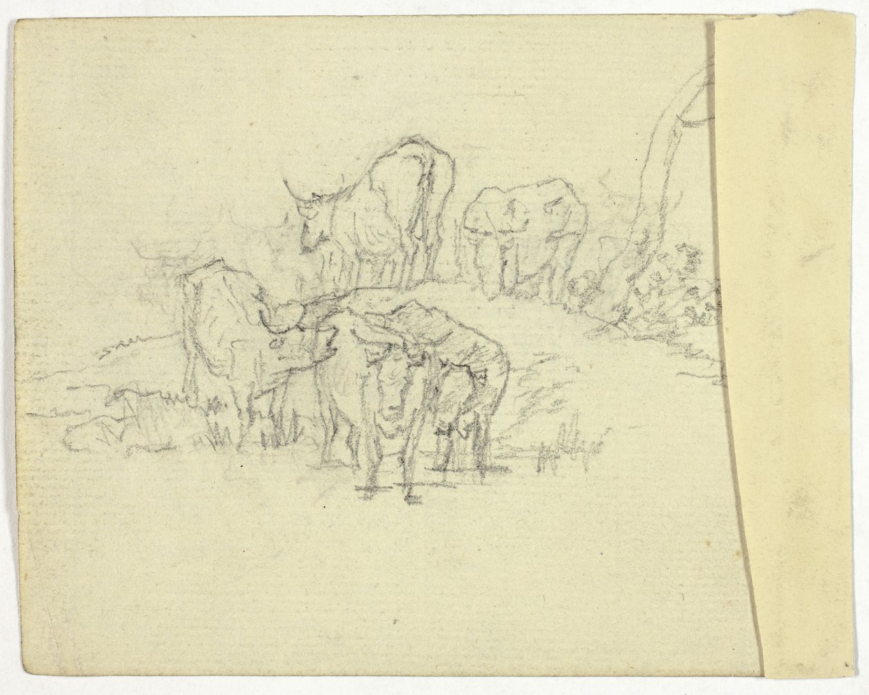 Sığır (rekto); Şarlatan (karşı) by William Henry Pyne