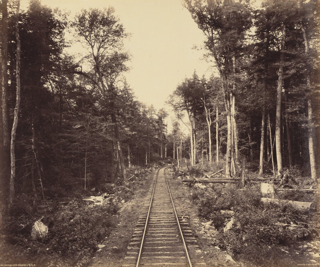  by William Herman Rau