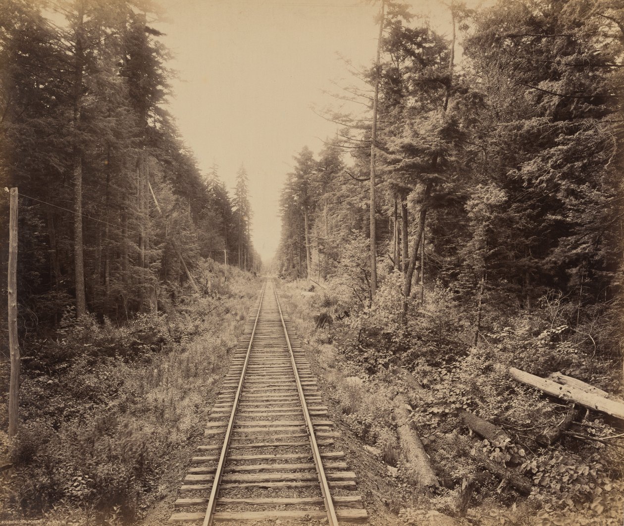  by William Herman Rau