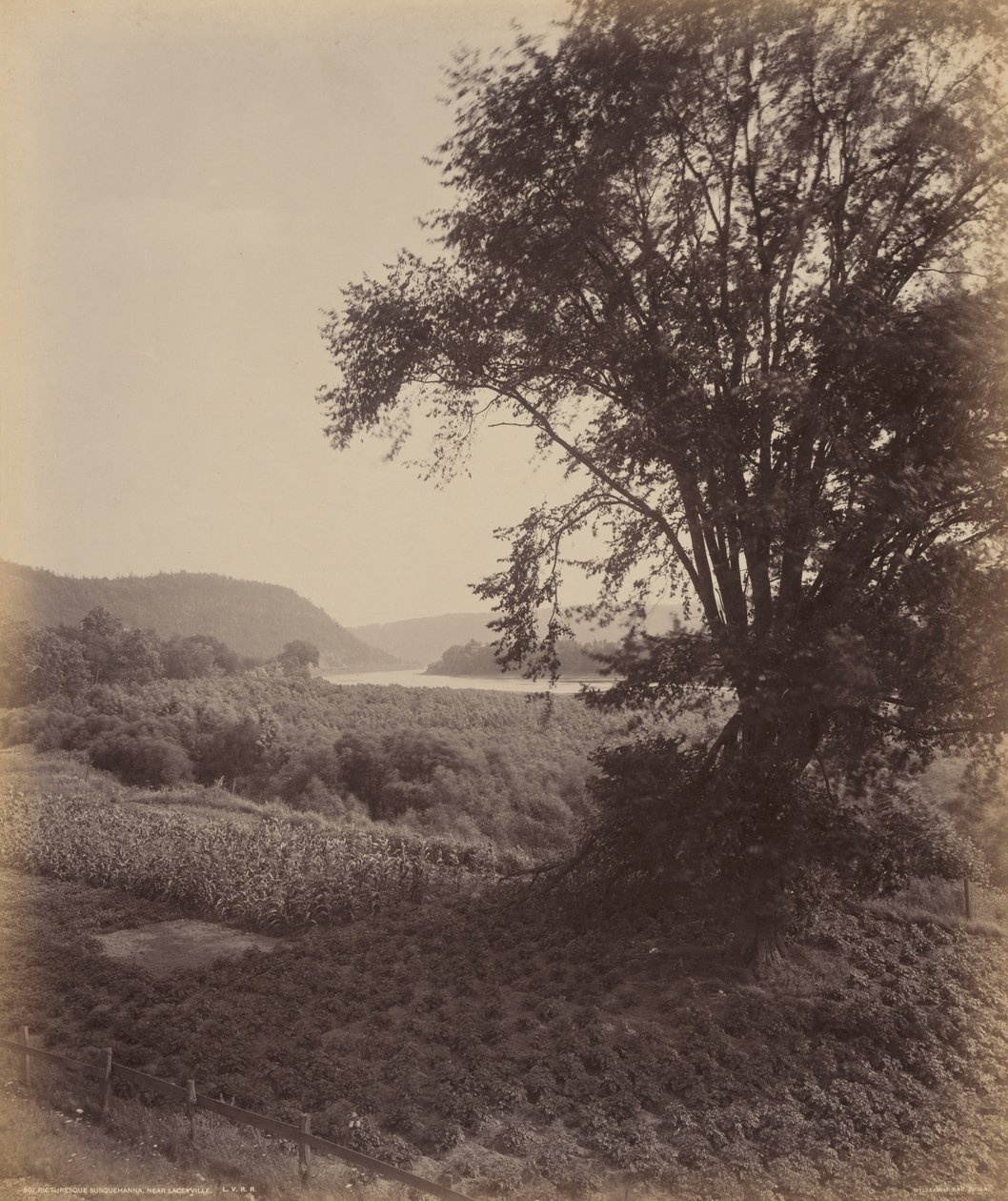  by William Herman Rau